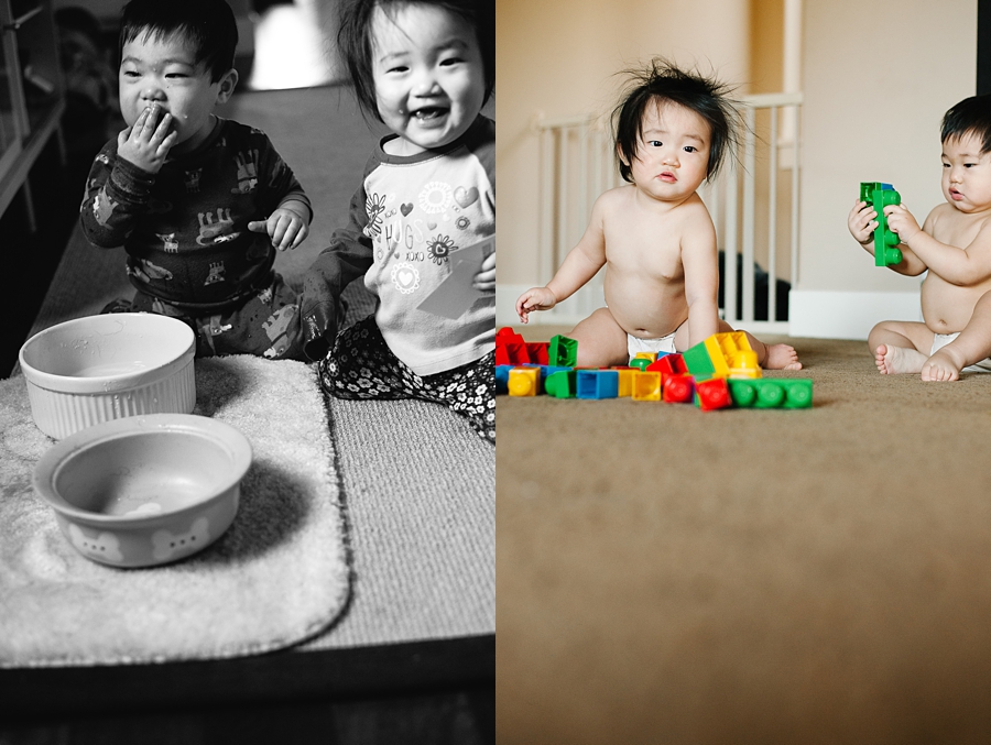 twins and dog water bowl