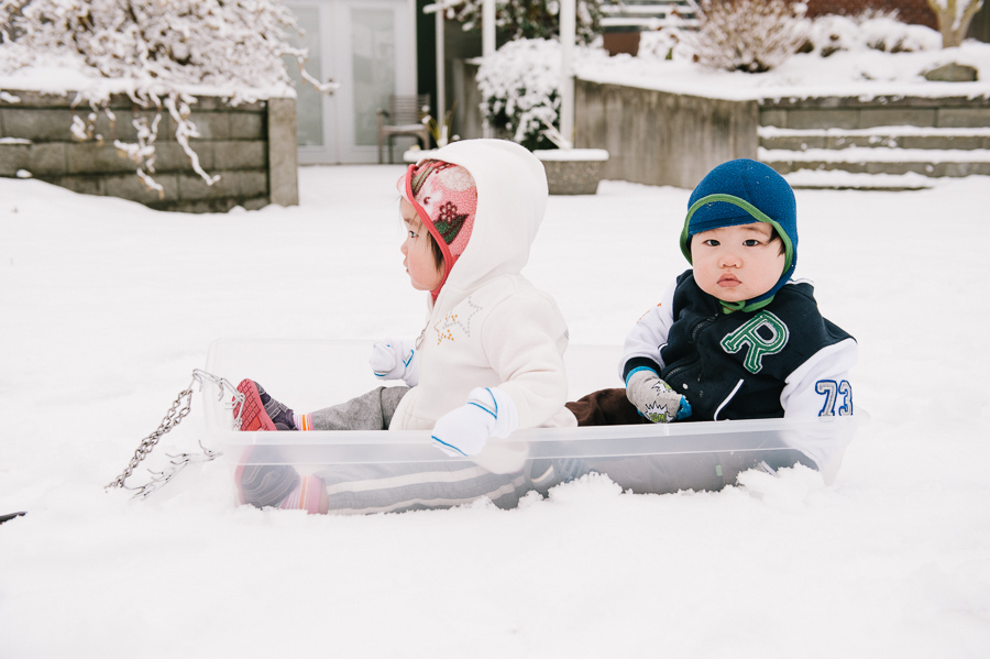 seattle twins photographer, snow sledding