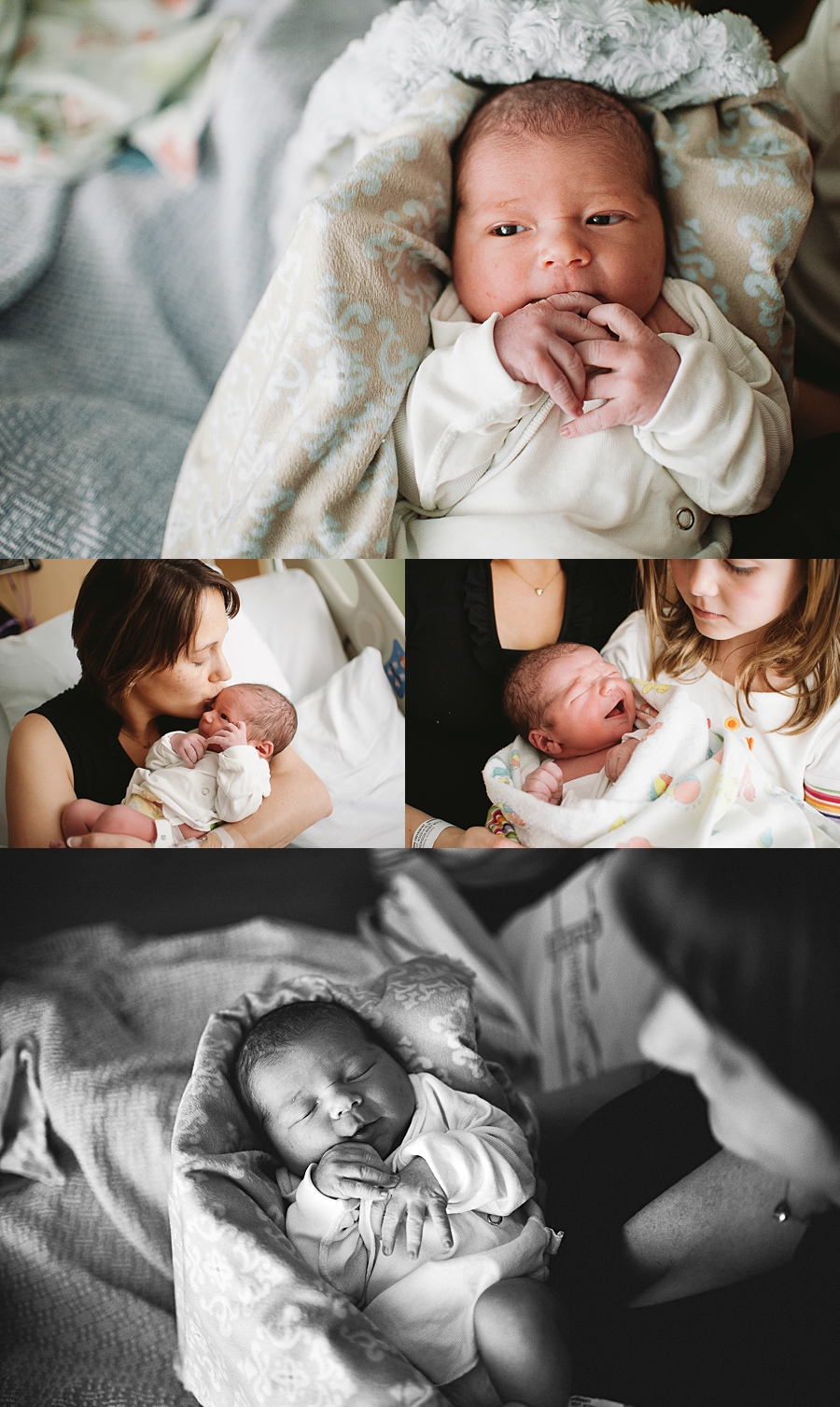 seattle newborn portrait photographer