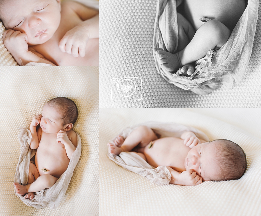 seattle newborn baby photos