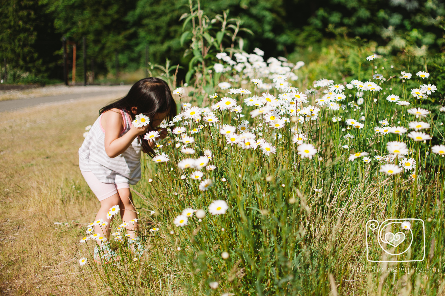 seattle summer portraits