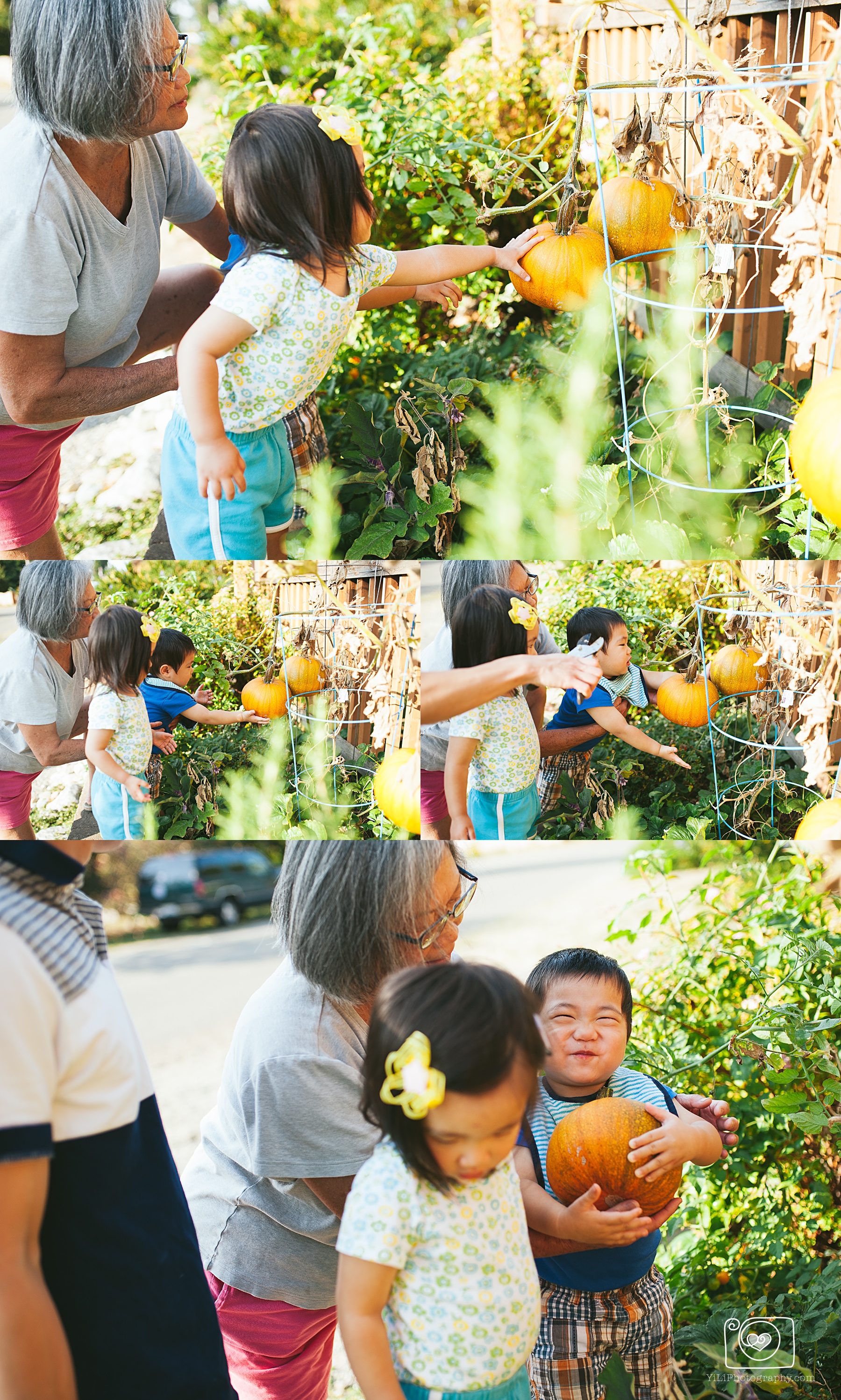 seattle lifestyle photographer