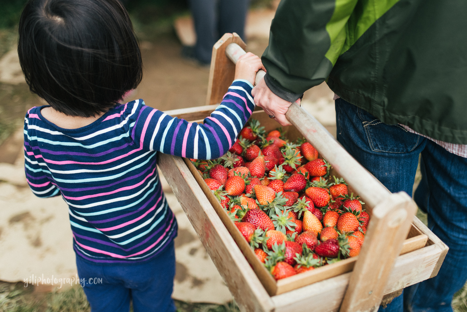 Kids_activities_in_Seattle-10