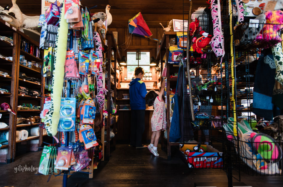 little girl in camp store at cama beach state park, camano island WA