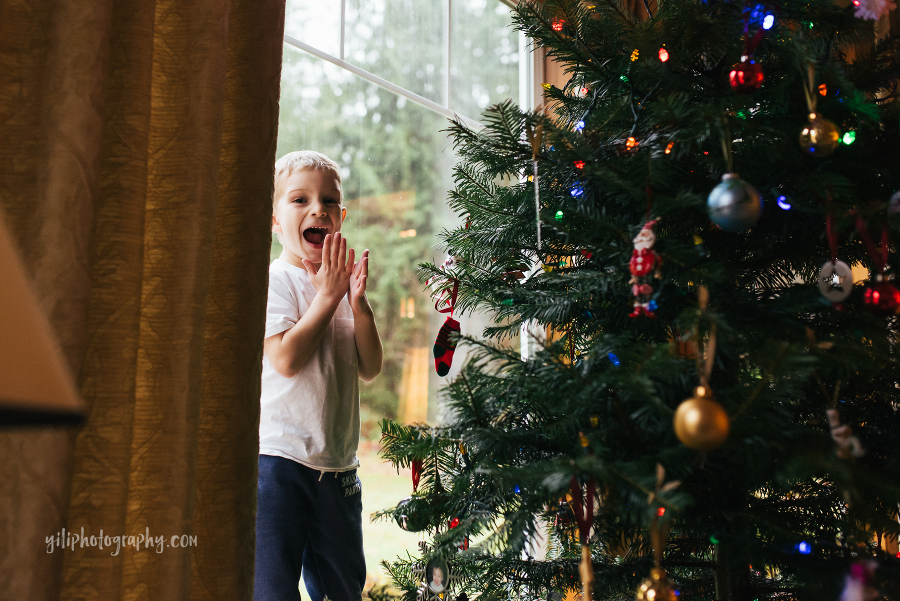 seattle-deck-the-halls-photographer-19