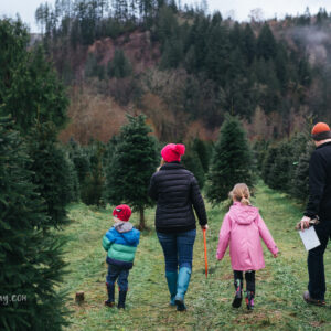 seattle family of four walking through christmas tree farm in carnation WA