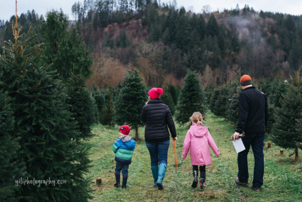 seattle family of four walking through christmas tree farm in carnation WA