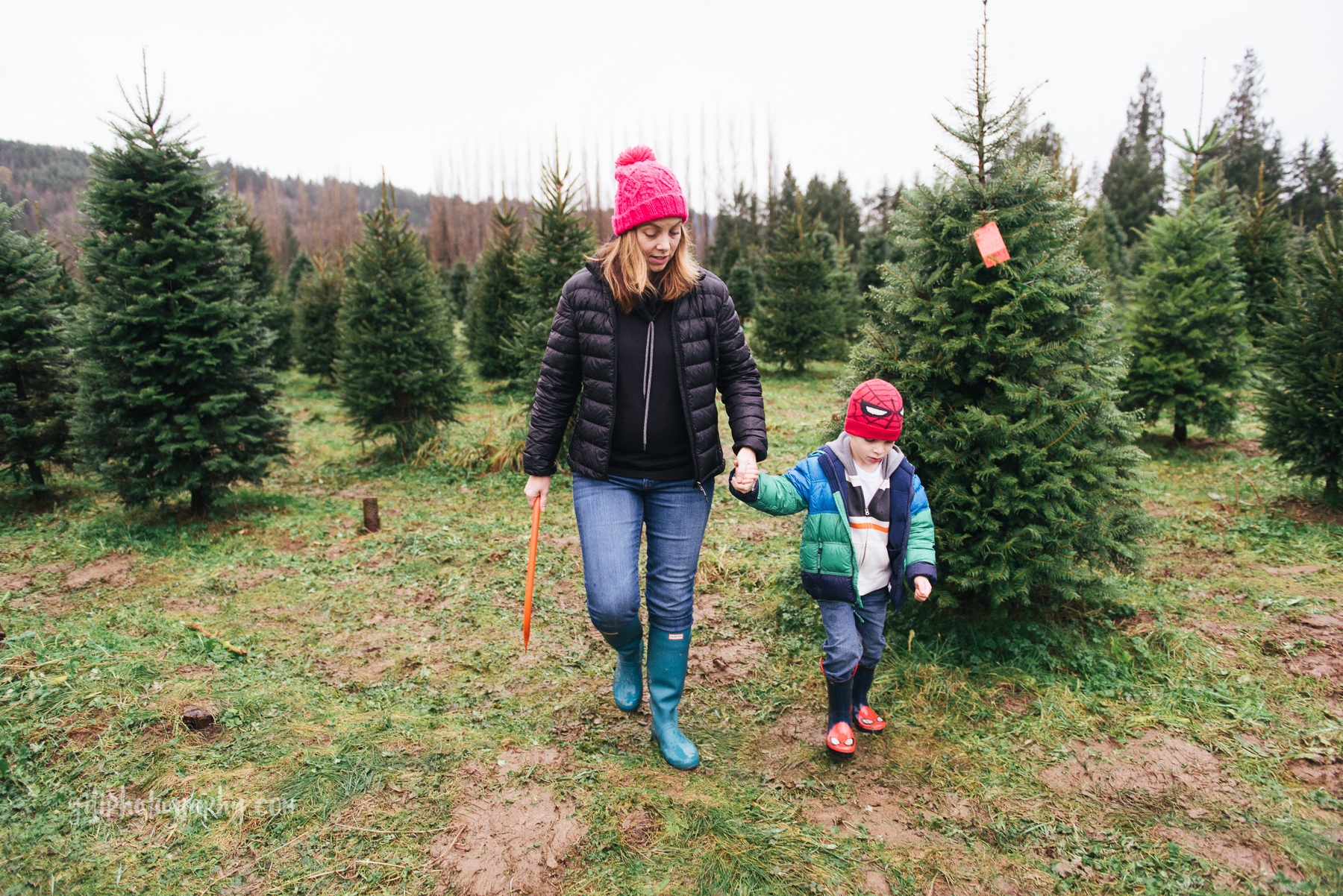 seattle-deck-the-halls-photographer-7