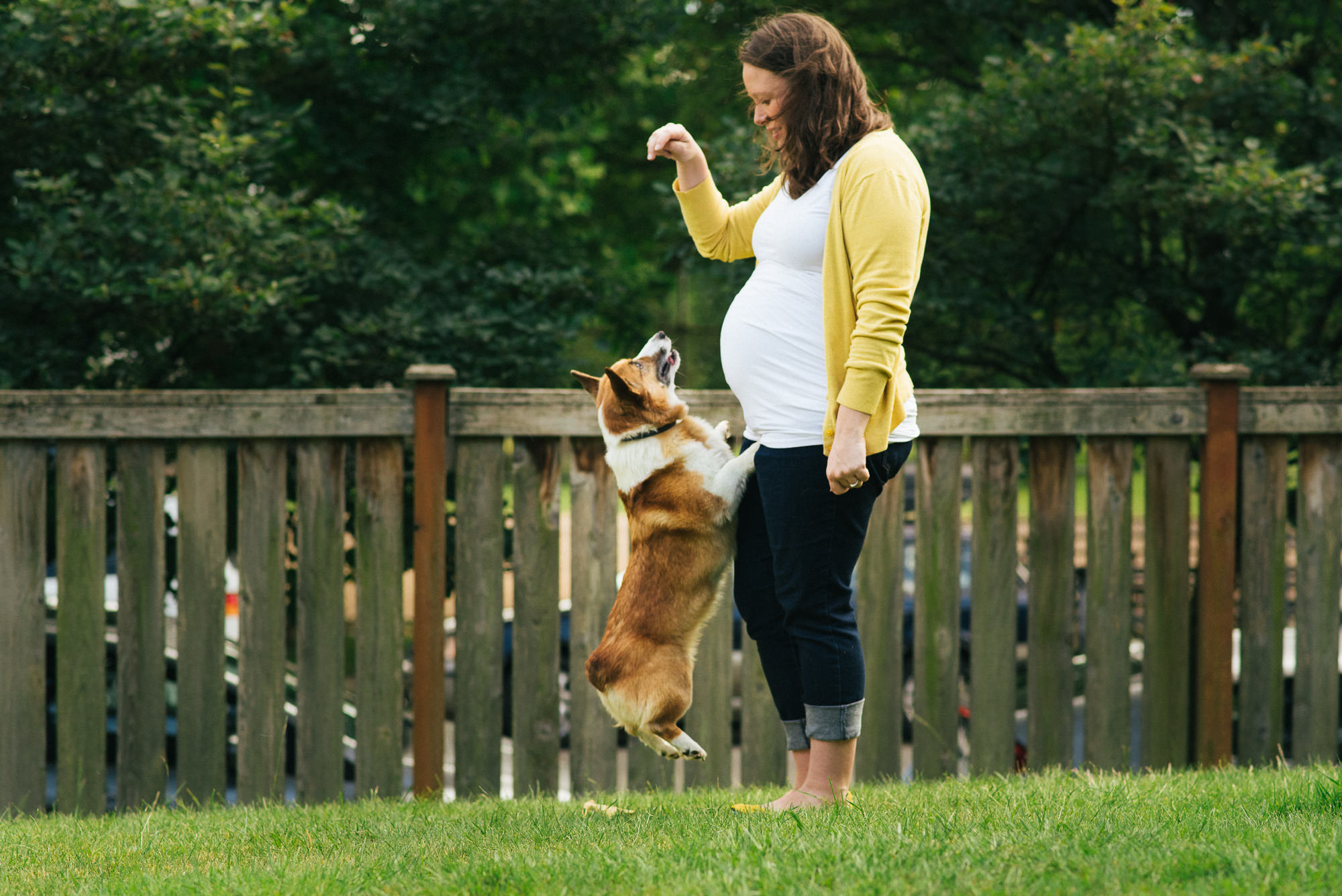 maternity photo of woman with dog doing tricks