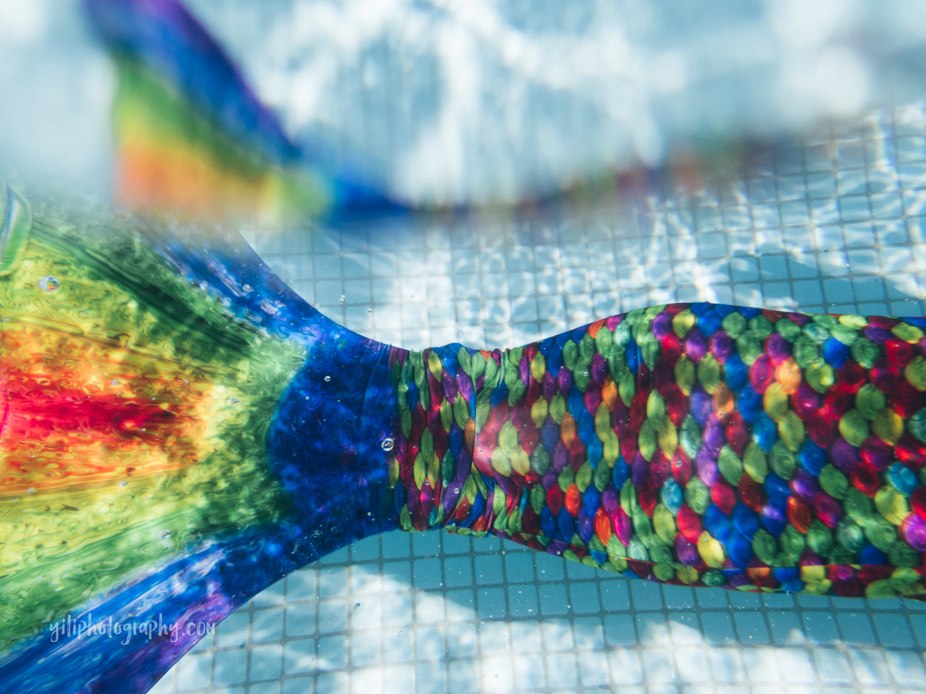 colorful mermaid tail underwater