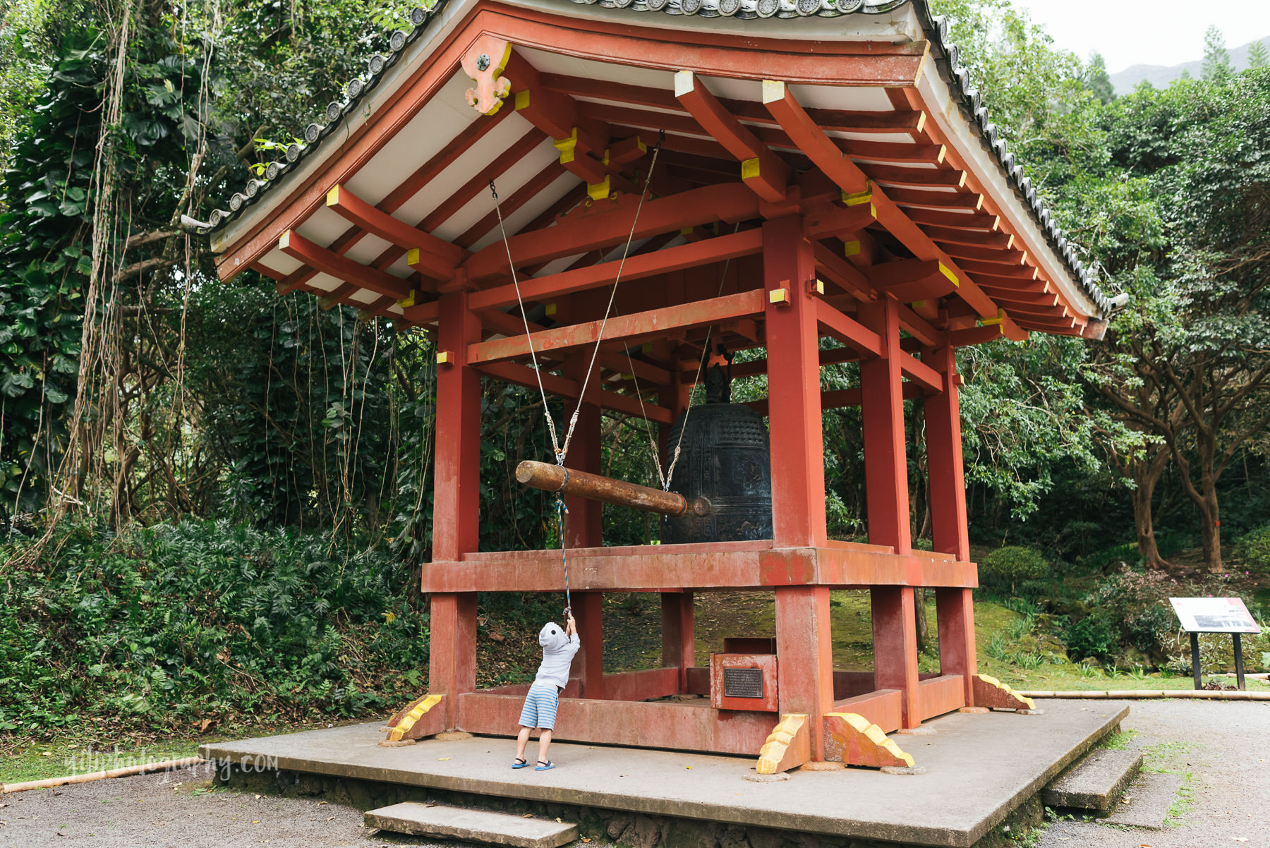 boy ringing buddhist bell at japanese temple