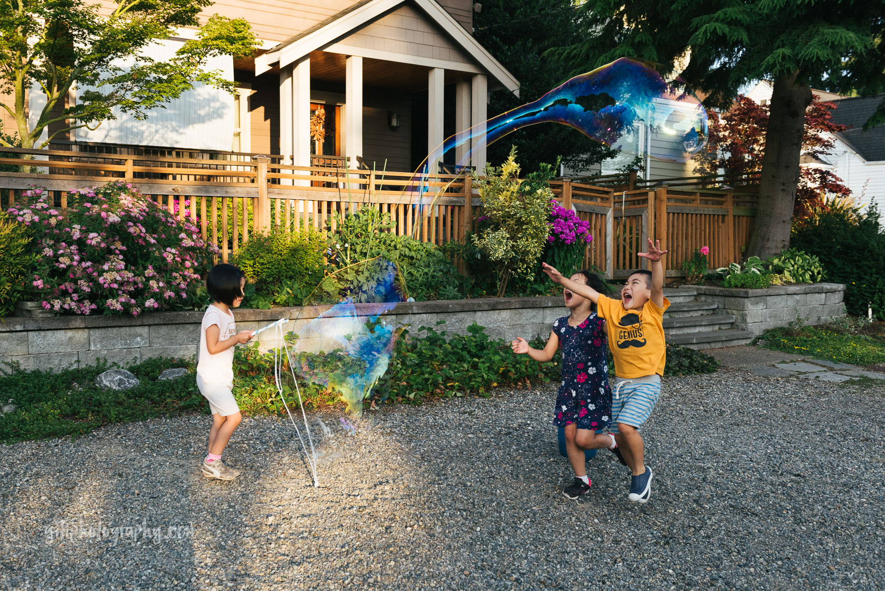 little girl making a giant bubble that her brother and sister are trying to pop
