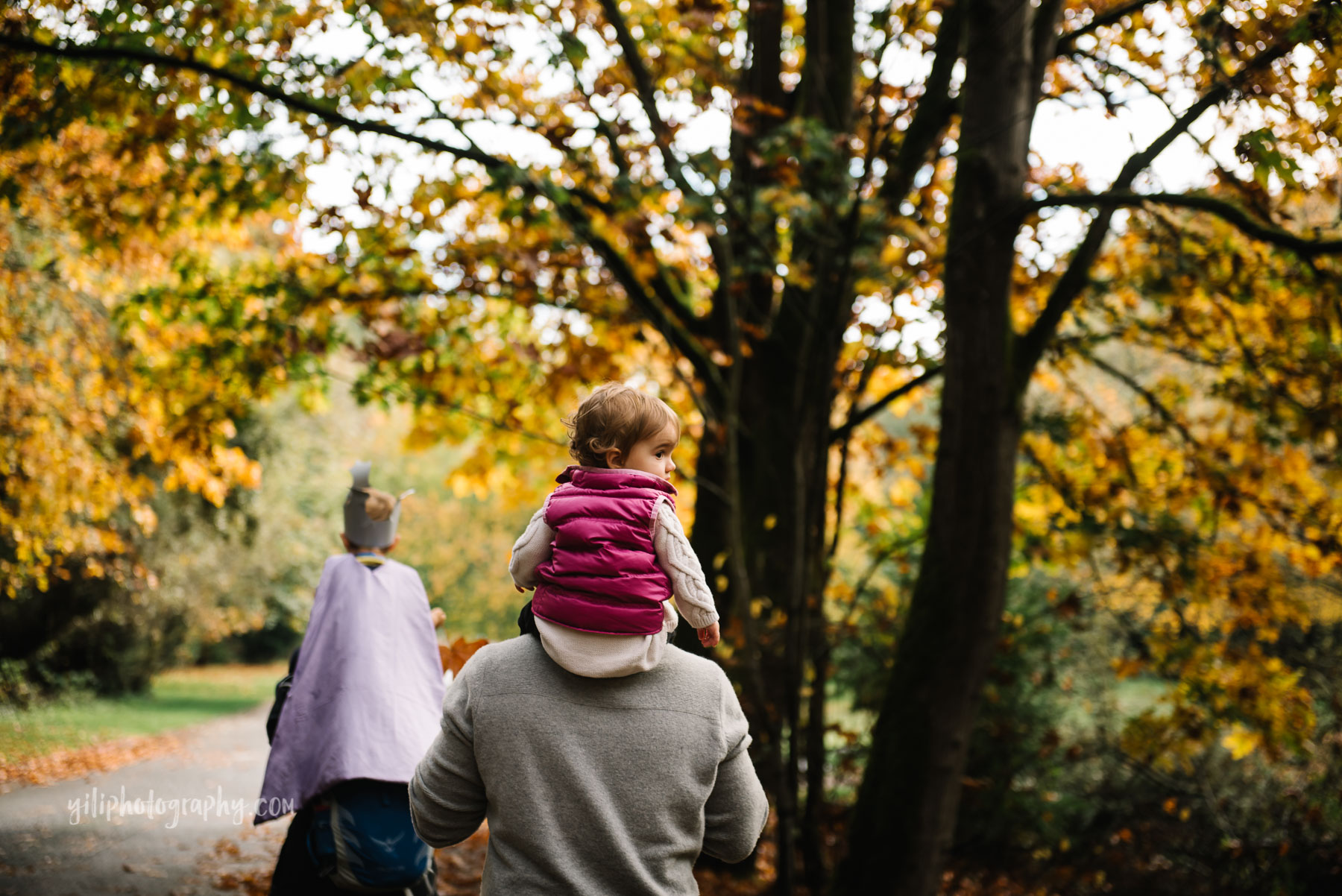 Family walking through fall leaves at Carkeek Park Seattle WA