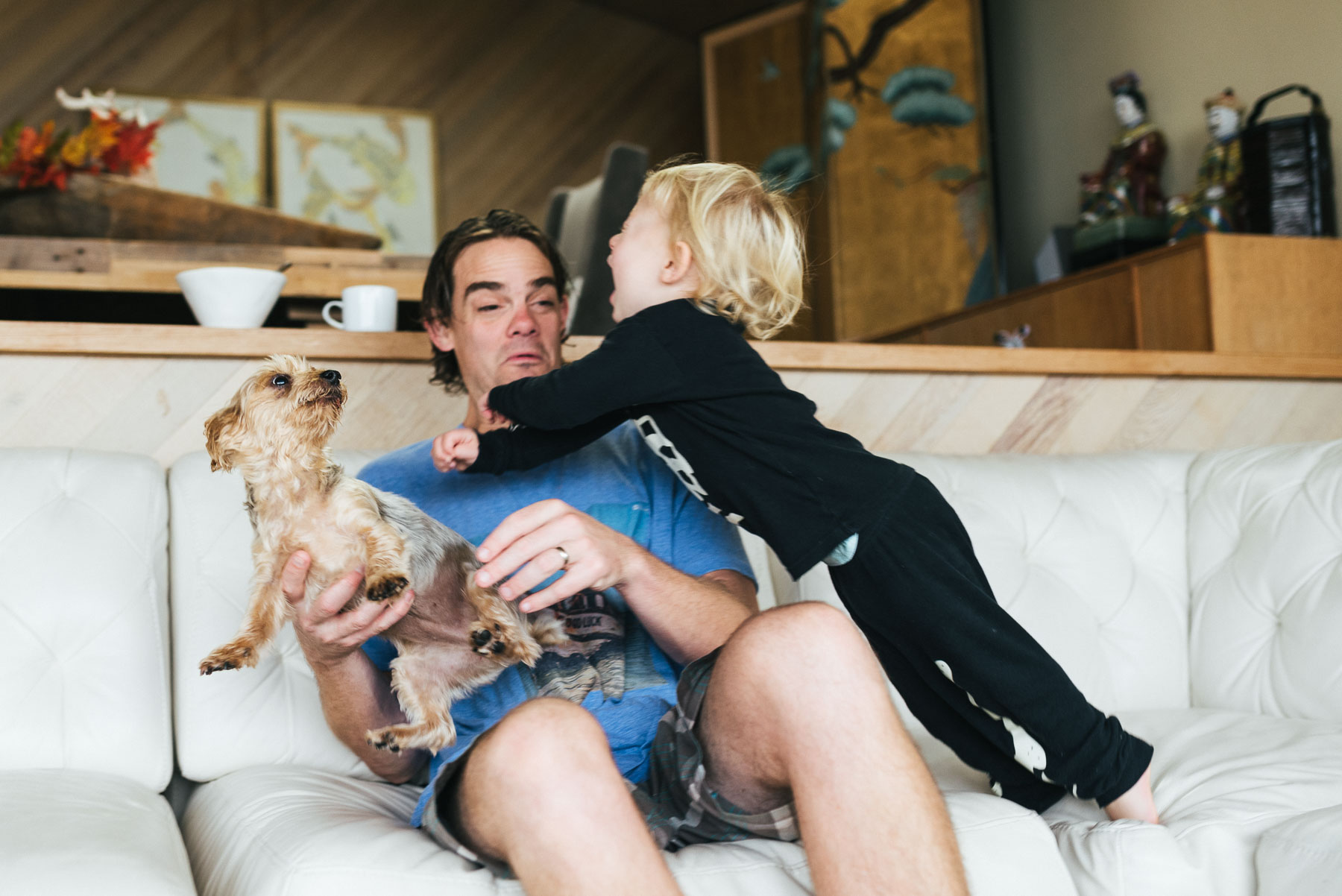 Toddler boy jumping over father on couch to attack dog