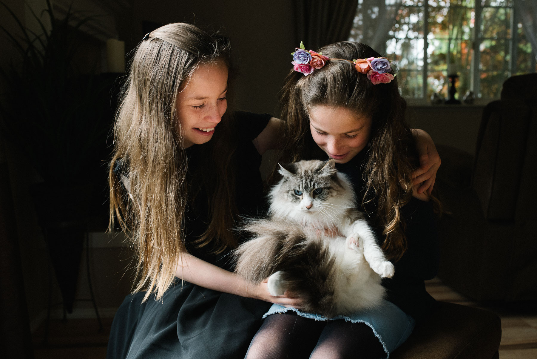 two girls cuddling with white and grey cat indoors