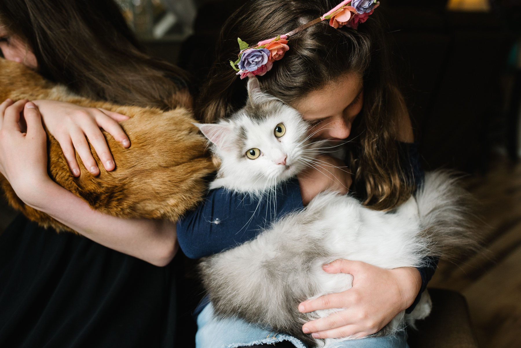 girl hugging white and grey cat