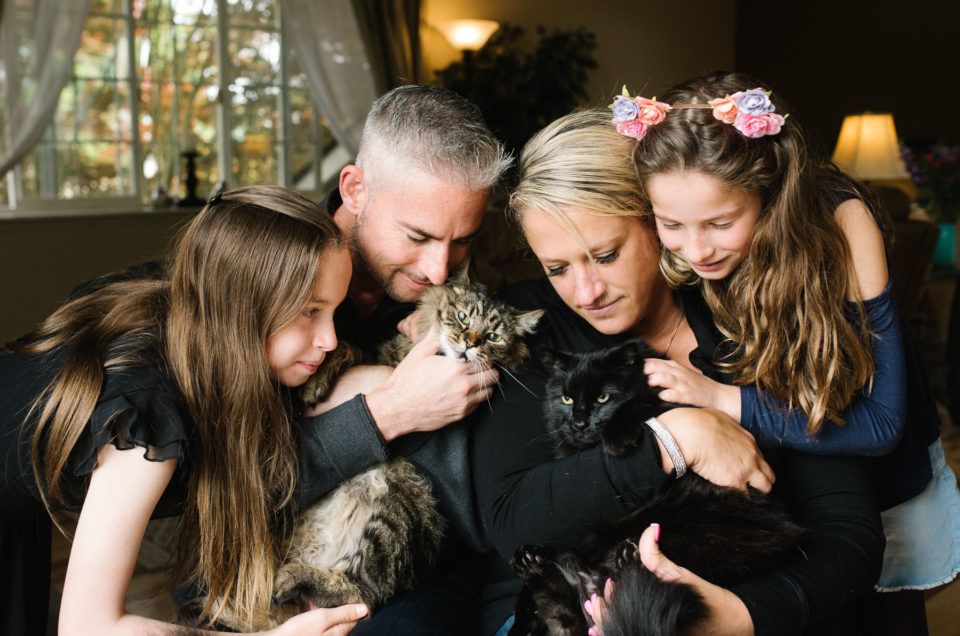 family pets their two cats in living room