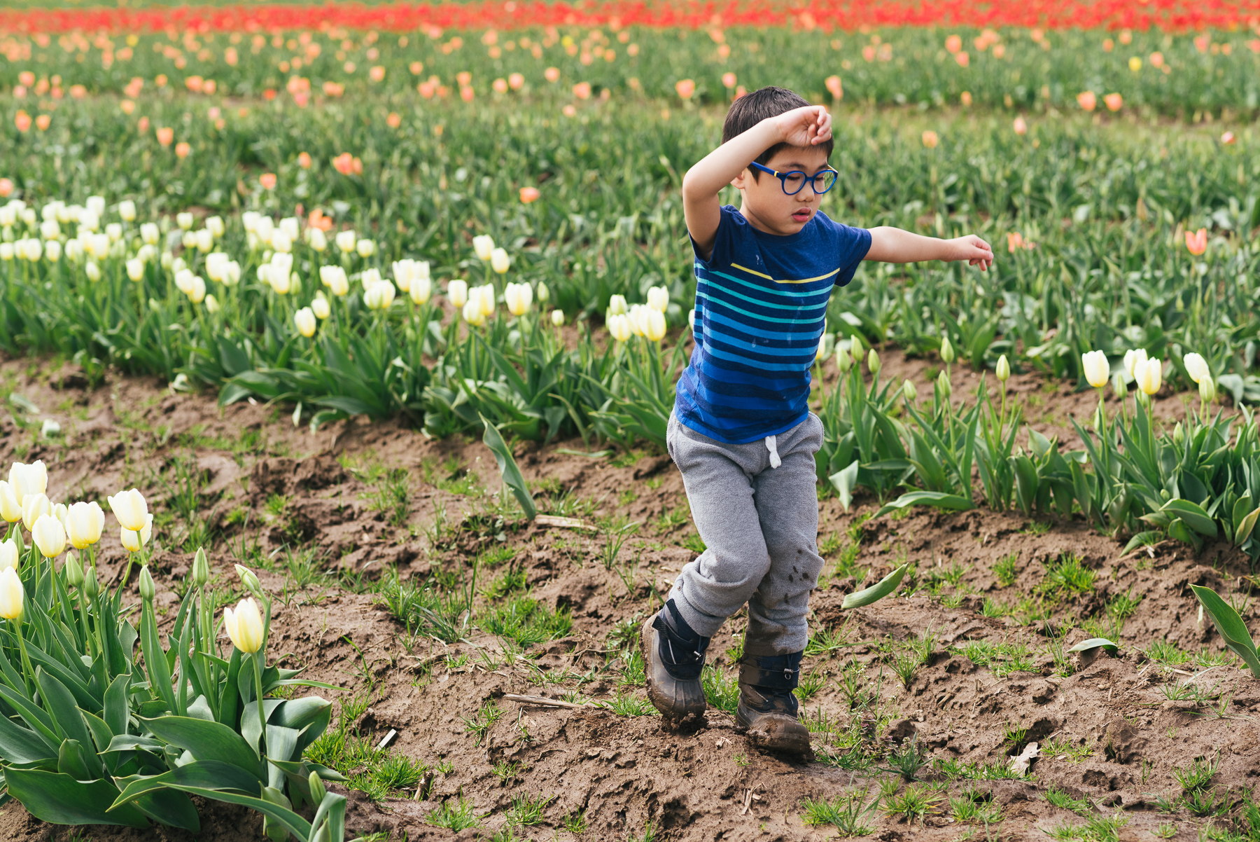 boy running in between rows of tulips