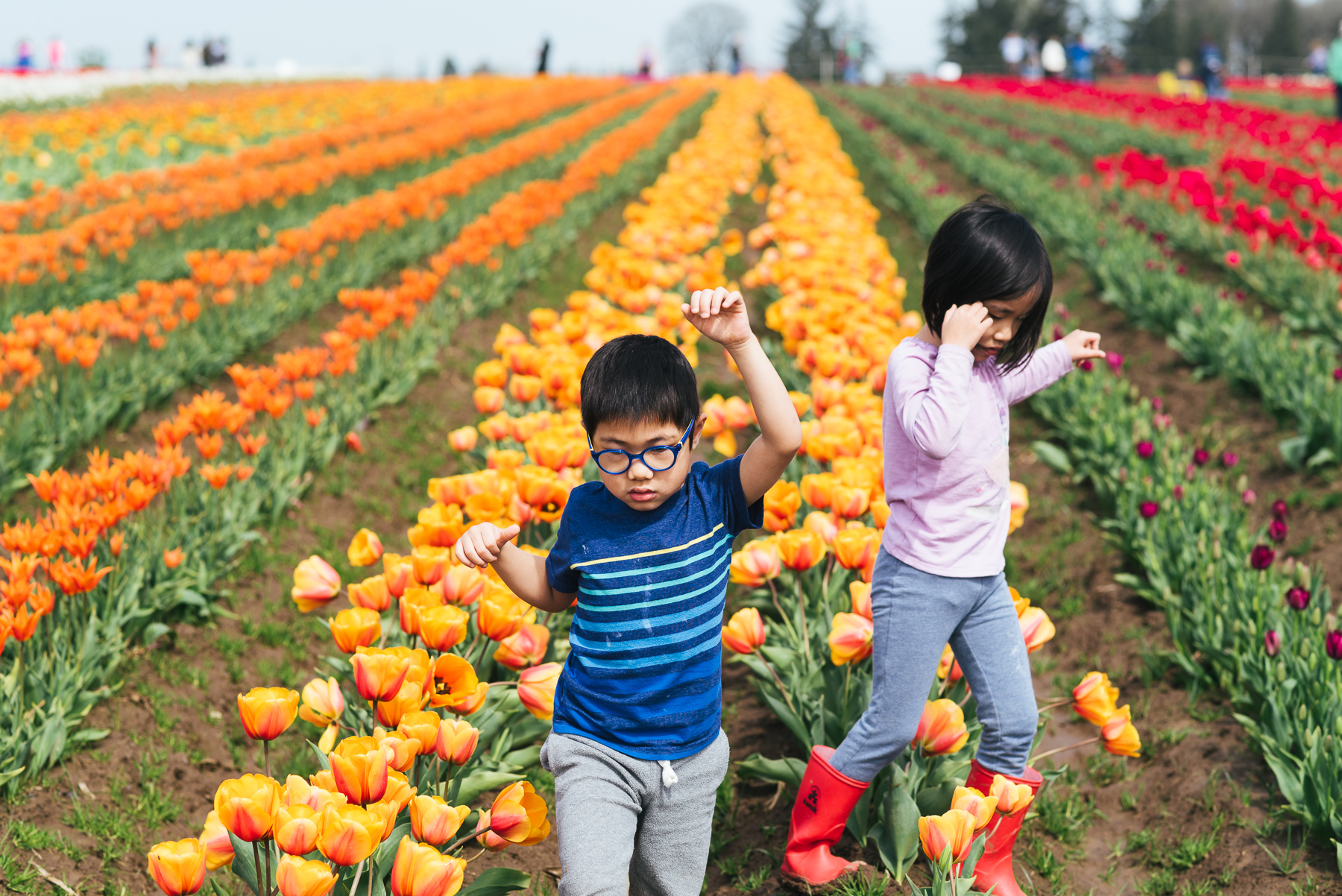 boy girl twins in tulip field