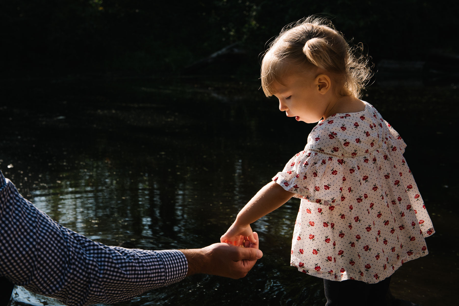 little girl grabbing duck food out of her father's hand