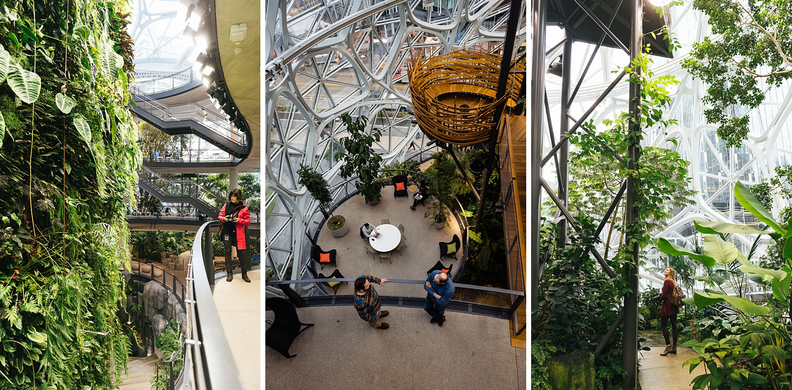 Inside the Amazon spheres in Seattle
