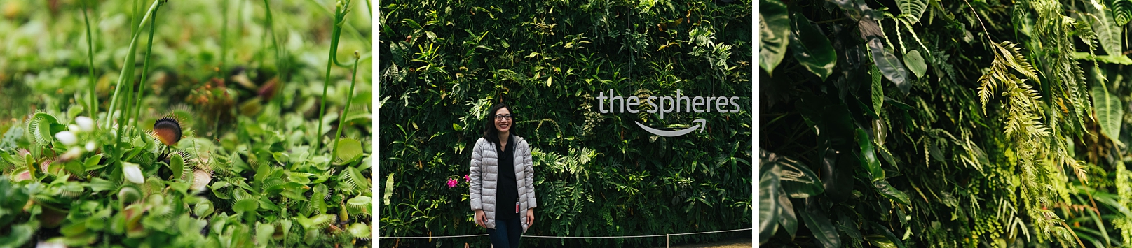 plants inside Amazon spheres