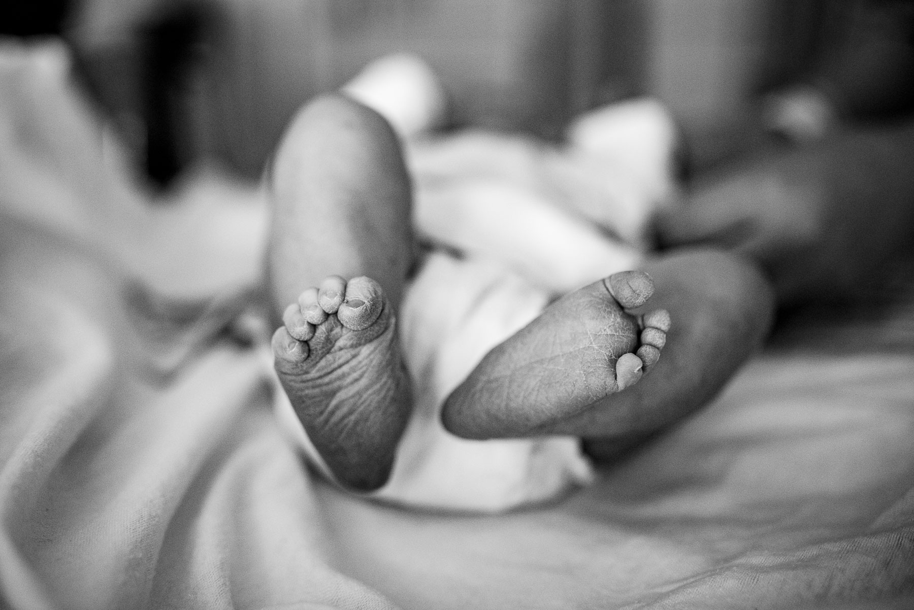 close up of newborn baby feet