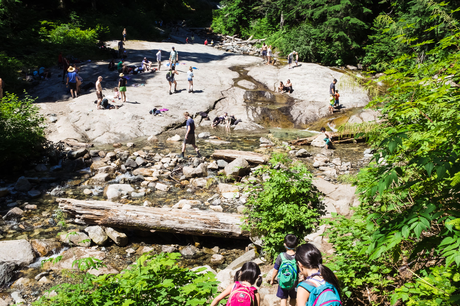Wide view of Denny Creek waterslides from trail
