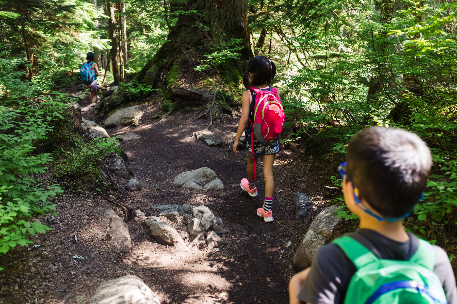 kids hiking to Denny Creek
