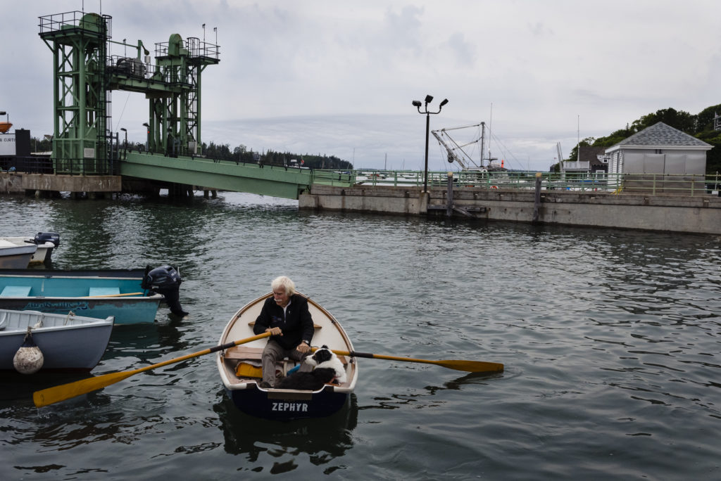 man rowing boat with dog